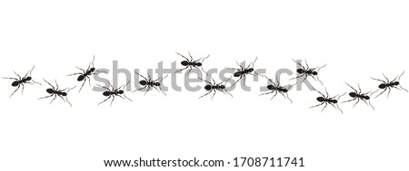 Similar – Image, Stock Photo Ants on anthill ants Heap