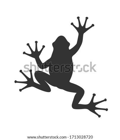 Download Black Frog Wallpaper 1920x1080 | Wallpoper #432226