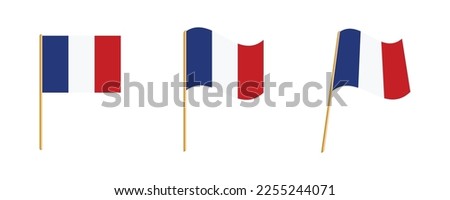 France flag vector vector illustration set