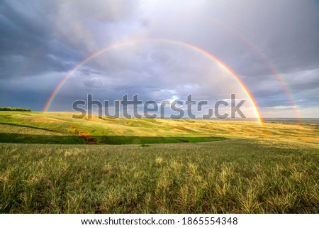 Similar – Image, Stock Photo spring meadow Masculine