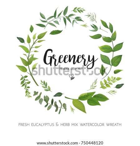Floral vector card Design with green Eucalyptus fern leaves elegant greenery, herbs forest round, circle wreath beautiful cute rustic frame border print. Vector garden illustration, Wedding Invitation