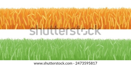 Field with growing and ripe wheat spikelets ready for harvesting. Vector isolated set of agricultural meadow, summer and autumn seasonal farmland crops. Oats or barley plant, ecological farming