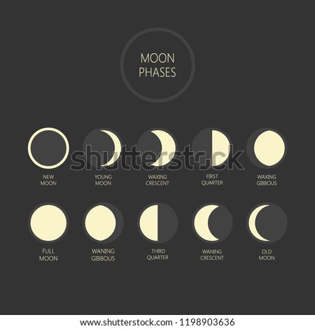 Lunar phases vector illustration. Moon phase cycle, new moon, full moon, waxing and waning moon icons.