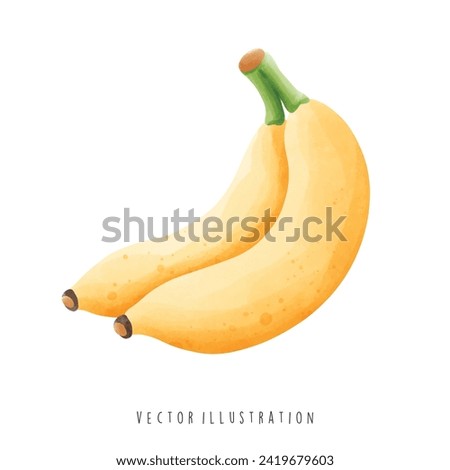 Hawaii Travel Collection, Watercolor of Banana , Vector Illustration