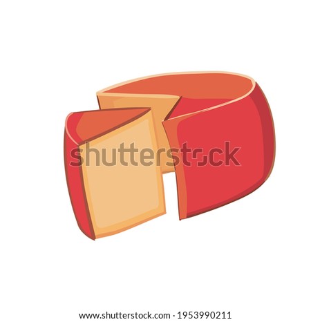 bright beautiful juicy illustration of cheese on the background