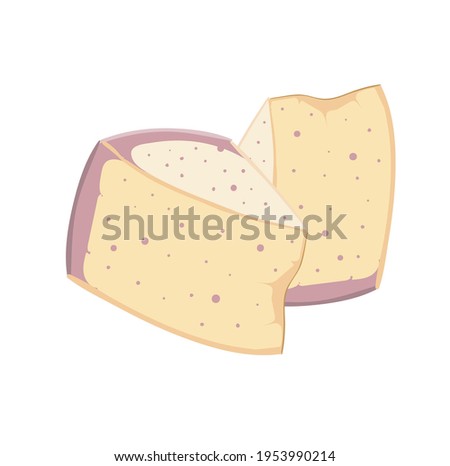 bright beautiful juicy illustration of cheese on the background