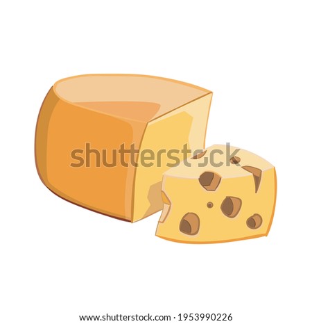 bright beautiful juicy illustration of cheese on the background