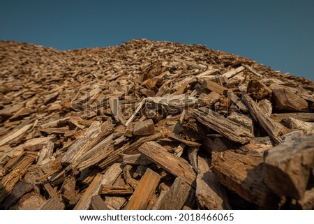 Forest residues mulched as wood chips used for heating. Pile of wood chip particles for biomass boiler, view from below. Stockfoto © 