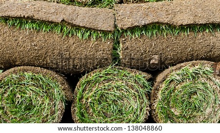 Grass turf in rolls ready to be used for gardening or landscaping.