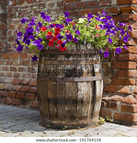 Petunia flowers in an old rustic barrel on a street garden