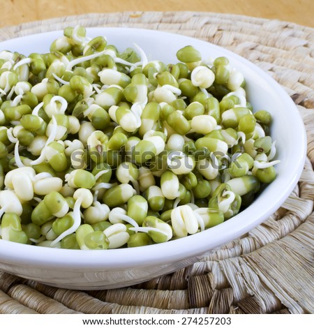 Fresh bean sprouts in a white bowl on a table