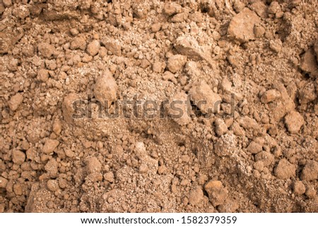 Similar – Image, Stock Photo Wet plant on sandy seashore