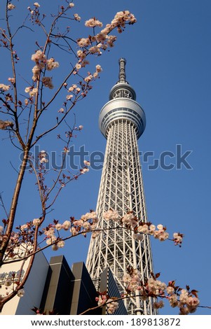TOKYO - APRIL 15: Tokyo Sky Tree. The 2nd tallest building of the world and tallest of Japan (634m).  On April 15th in Sumida, Tokyo, Japan.