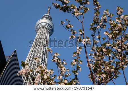 TOKYO - APRIL 15: Tokyo Sky Tree. The 2nd tallest building of the world and tallest of Japan (634m).  On April 15th in Sumida, Tokyo, Japan.
