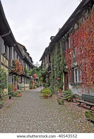 historical houses decoratedred ivy on back street in Gengenbach Germany
