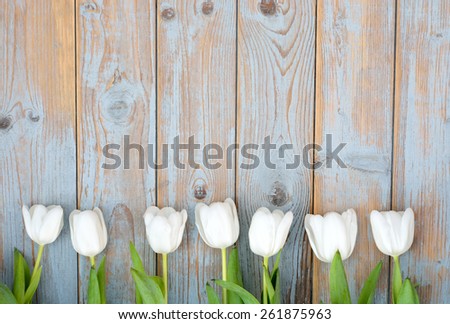 row of pink tulips on old ice blue knotted wooden frame as layout or photoframe
