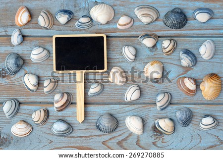 grey blue knotted wooden background with striped sea shells and black chalk board with empty space