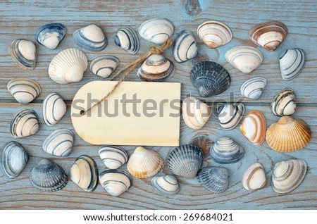 blue grey knotted old wood with sea shells and wooden empty label