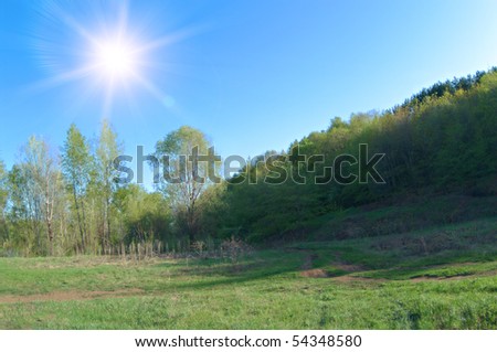 Landscape in the warm summer weather.