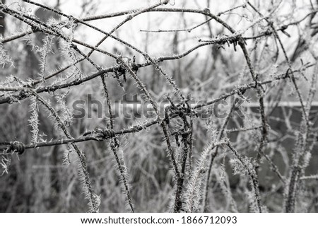 Similar – Foto Bild Raureif am Stacheldraht und am Maschendrahtzaun vor blauem Himmel