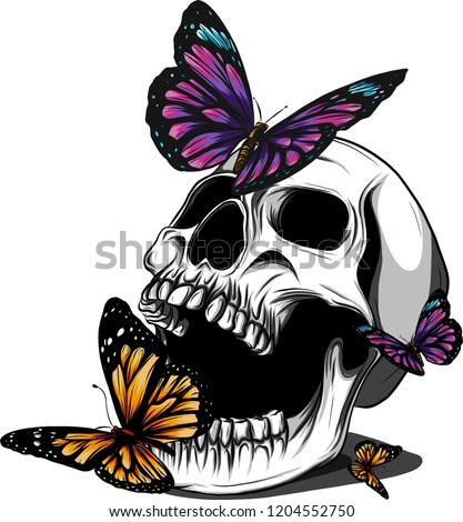 Hand drawing a bone skeleton, anatomical drawing of pelvic bone man, print for Halloween,butterflies fly, skull