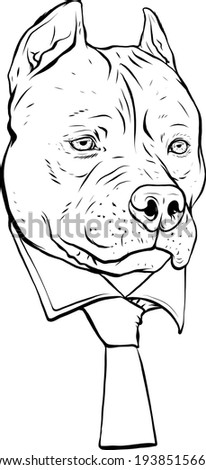 How To Draw A Pitbull Face Easy Step By Step - How To Draw A Pitbull