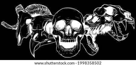 Similar – Image, Stock Photo Ram skull with bird nest