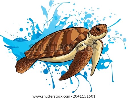 vector illustration of sea turtle on water