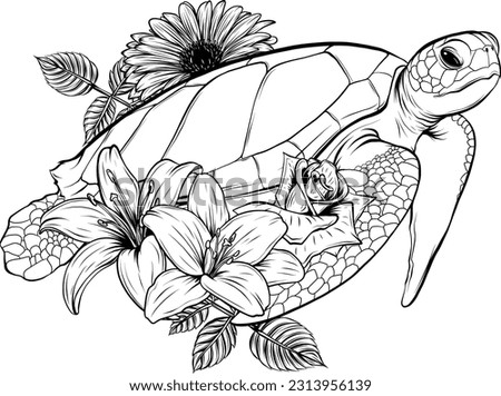 Turtle Clipart Black And White | Free download on ClipArtMag