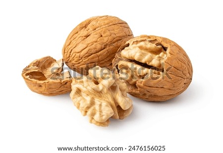 Similar – Image, Stock Photo walnuts Walnut Walnuts Nut