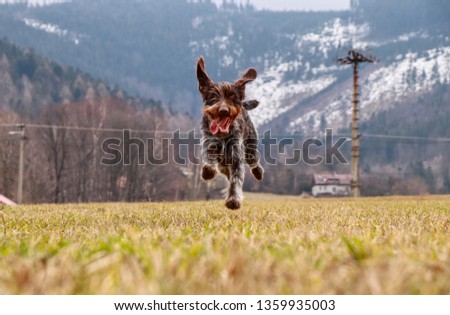 Shutterstock Puzzlepix