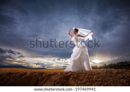 Beautiful bride at wedding dress and veil posting outdoors. Newlywed woman. Woman in wedding dress at the cliff with dark sky in twilight.Girl in bridal dress on nature. happy wedding.