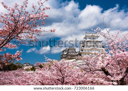 Himejicastle with cherry blossom 商業照片 © 