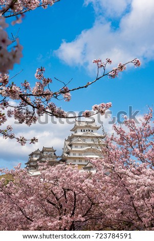 himeji castle with sakura 商業照片 © 