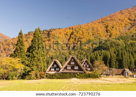 shirakawagovillage with mountain in autumn 商業照片 © 
