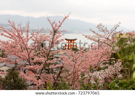 Miyajimaisland with cherry blossom 商業照片 © 