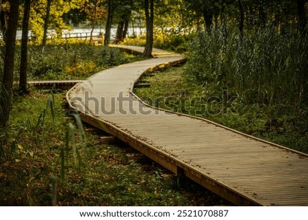 Similar – Image, Stock Photo Wooden path leading through the swamp and forest in a natural park