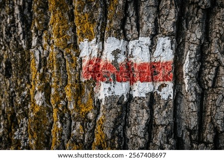 Similar – Image, Stock Photo bark painted red