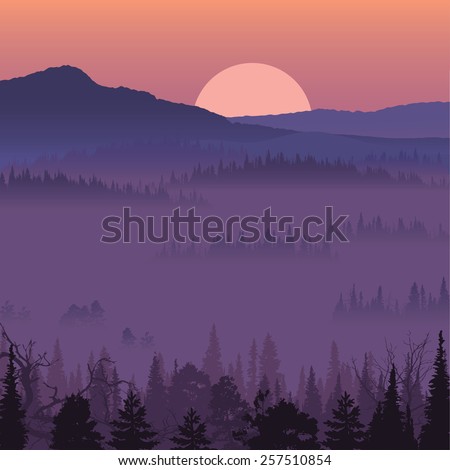 Natural landscape with sunset. Vector illustration