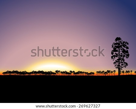 Nature sunset background