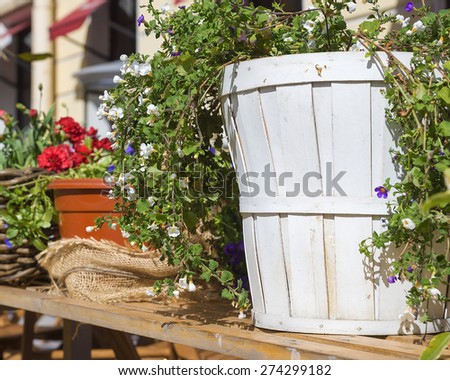 wooden planter with flowers