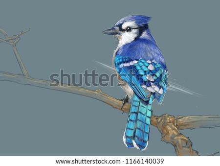 Shutterstock Puzzlepix