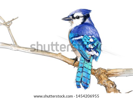 Shutterstock Puzzlepix