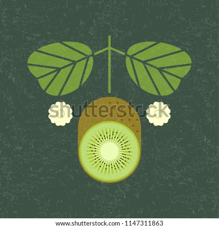 Kiwi illustration. Ripe cut kiwi with leaves and flowers on shabby background. Symmetrical flat composition. Shabby style.