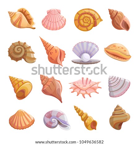 Sea shell beach icons set. Cartoon illustration of 16 Sea shell beach tropical underwater vector icons for web