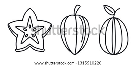 Carambola star fruit icons set. Outline set of carambola star fruit vector icons for web design isolated on white background