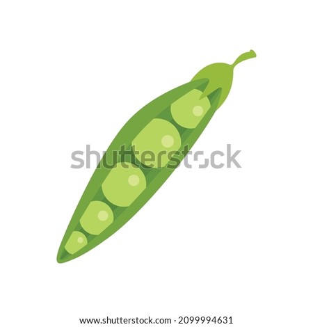 Peas legumes icon. Flat illustration of peas legumes vector icon isolated on white background Foto stock © 