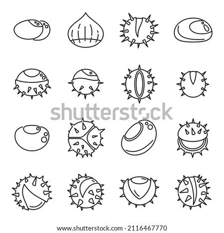 Chestnut icons set outline vector. Horse food. Autumn tree