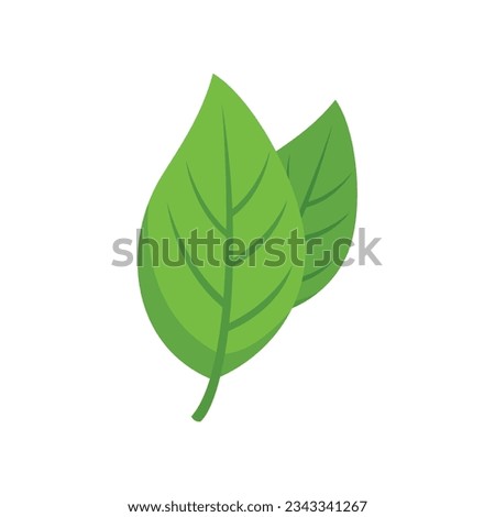 Basil spice plant icon flat vector. Herb leaf. Cooking plant isolated