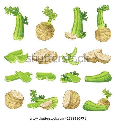 Celery icons set cartoon vector. Food healthy stalk. Eat fresh diet